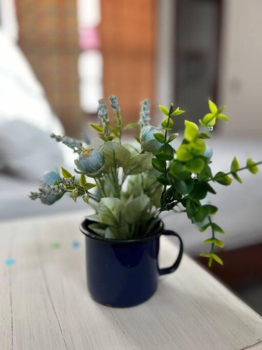 Casa Pouso Dos Colibris Em Araquari Eksteriør billede